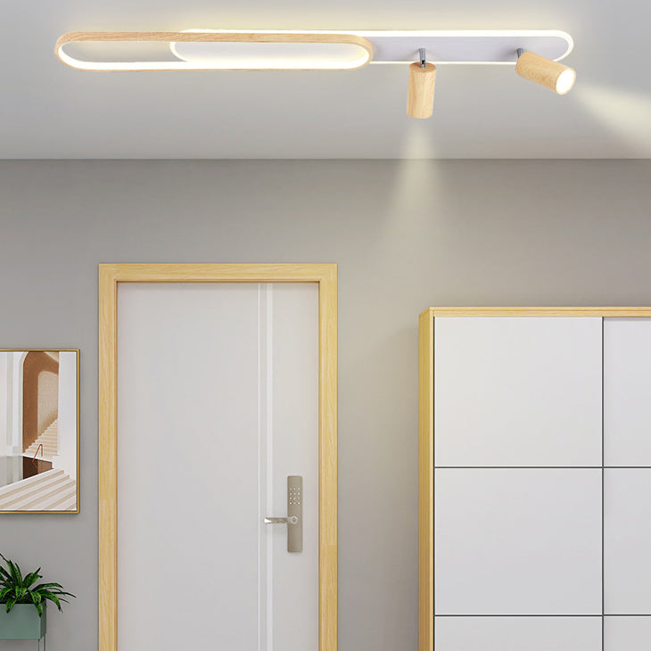 Modern Minimalist Long Oval Cylinder Acrylic Iron LED Flush Mount Ceiling Light For Living Room