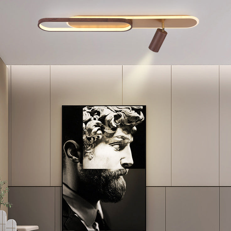Modern Minimalist Long Oval Cylinder Acrylic Iron LED Flush Mount Ceiling Light For Living Room