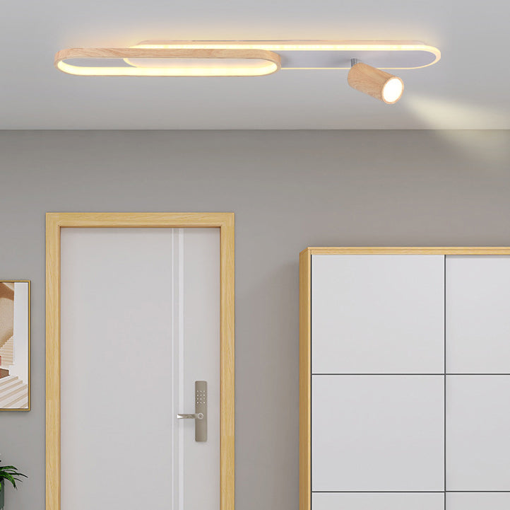 Modern Minimalist Long Oval Cylinder Acrylic Iron LED Flush Mount Ceiling Light For Living Room