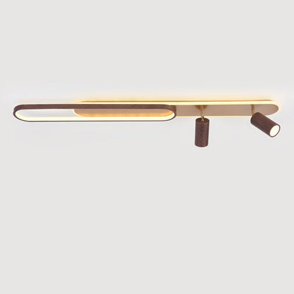 Modern Minimalist Long Oval Cylinder Acrylic Iron LED Flush Mount Ceiling Light For Living Room
