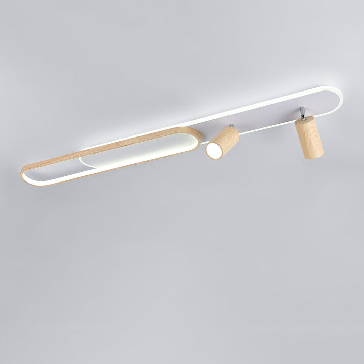 Modern Minimalist Long Oval Cylinder Acrylic Iron LED Flush Mount Ceiling Light For Living Room