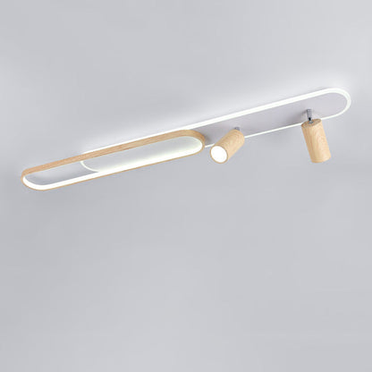 Modern Minimalist Long Oval Cylinder Acrylic Iron LED Flush Mount Ceiling Light For Living Room