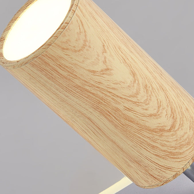 Modern Minimalist Long Oval Cylinder Acrylic Iron LED Flush Mount Ceiling Light For Living Room