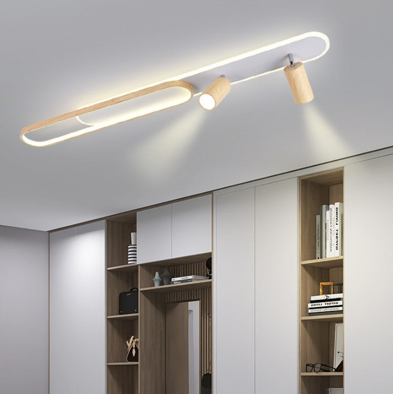 Modern Minimalist Long Oval Cylinder Acrylic Iron LED Flush Mount Ceiling Light For Living Room
