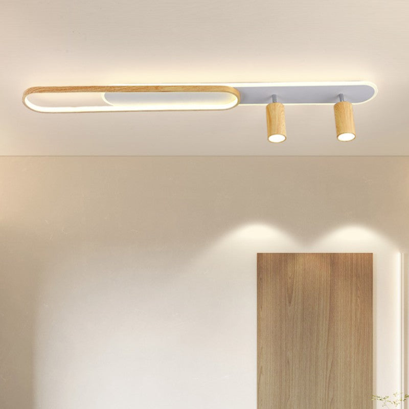 Modern Minimalist Long Oval Cylinder Acrylic Iron LED Flush Mount Ceiling Light For Living Room