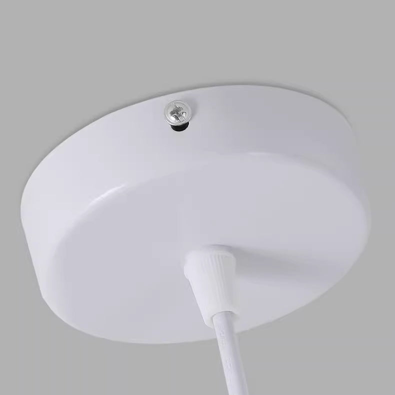 Contemporary Creative Oval Hollow Resin Iron 1-Light Pendant Light For Bedroom