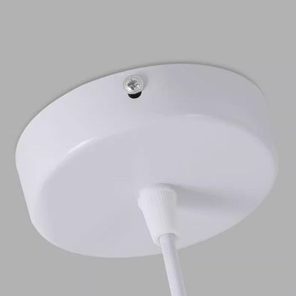 Contemporary Creative Oval Hollow Resin Iron 1-Light Pendant Light For Bedroom