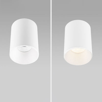 Modern Minimalist Aluminium Cylinder LED Flush Mount Ceiling Light For Hallway