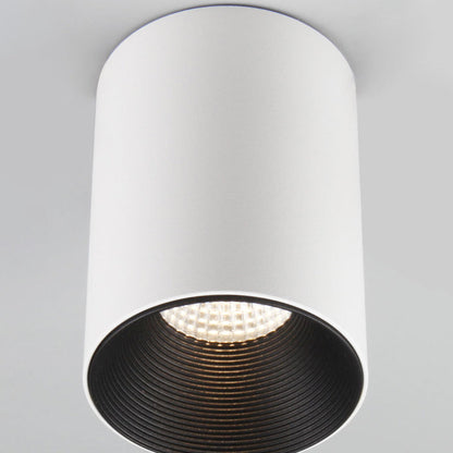 Modern Minimalist Aluminium Cylinder LED Flush Mount Ceiling Light For Hallway