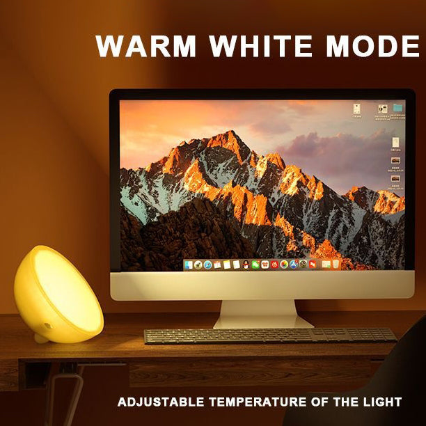 Modern Simplicity PC Bowl Round USB Bluetooth Connect LED Table Lamp Night Light For Bedroom