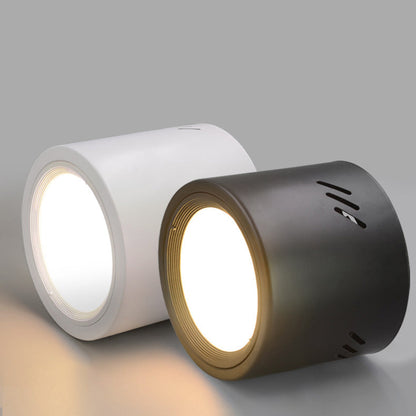 Modern Minimalist Aluminum PC Round Cylinder Spotlight LED Flush Mount Ceiling Light For Hallway