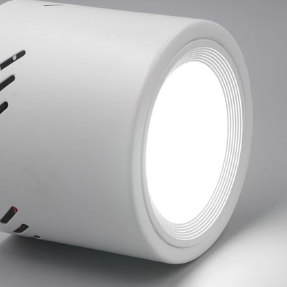Modern Minimalist Aluminum PC Round Cylinder Spotlight LED Flush Mount Ceiling Light For Hallway