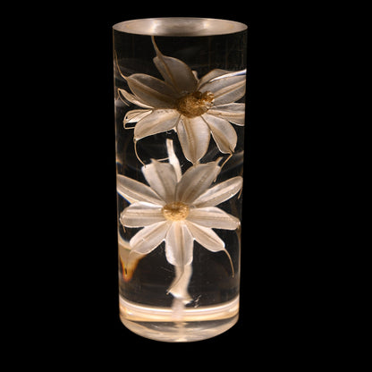 Contemporary Creative USB Rechargeable Eternal Flower Daisy Dandelion Cylinder Iron Acrylic LED Table Lamp Night Light For Bedside