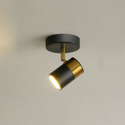 Contemporary Scandinavian Hardware Glass Starry Sky Ball Spotlight 1/2 Light LED Semi-Flush Mount Ceiling Light For Hallway