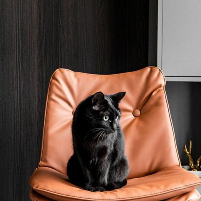 Modern Minimalist Nappa Leather Iron Curved Square Bar Stool With Backrest For Dining Room