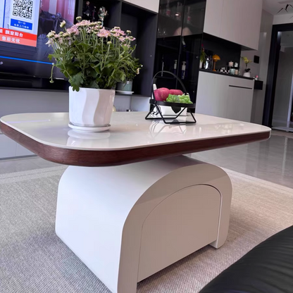 Contemporary Nordic Rock Slab & Wood Rectangular Coffee Table 1-Drawer With Lift-Top Function For Living Room & Bedroom