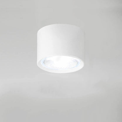 Nordic Cylinder Spotlight LED Flush Mount Ceiling Light