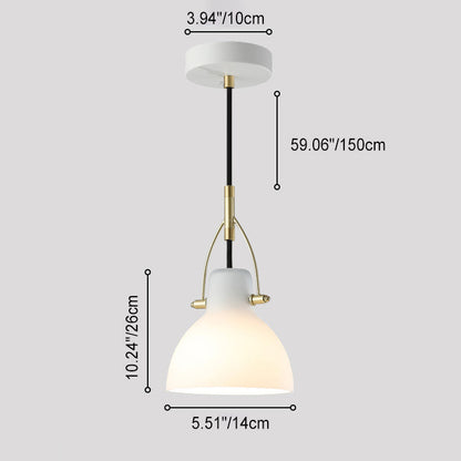 Modern Simplicity Iron Glass Dome Hemispheroid 1-Light Pendant Light For Dining Room
