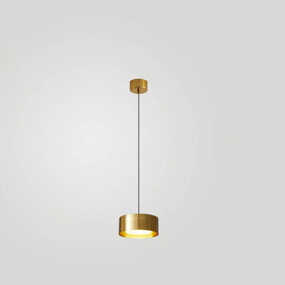 Modern Minimalist Round Head Iron LED Pendant Light