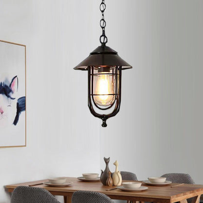 Contemporary Industrial Bird Cage Iron Glass 1-Light Pendant Light For Garden