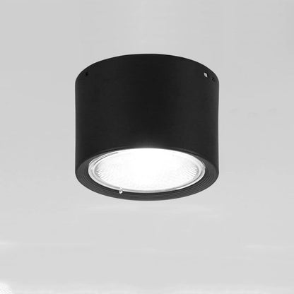 Nordic Cylinder Spotlight LED Flush Mount Ceiling Light