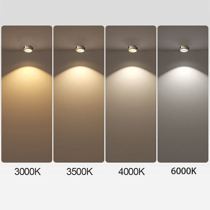 Modern Minimalist Round Spotlight Adjustable LED Flush Mount Ceiling Light